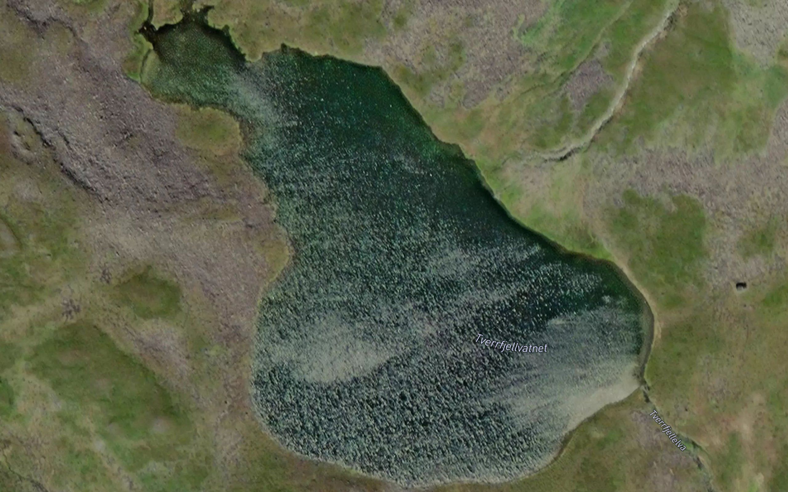 Tverrfjellvatnet