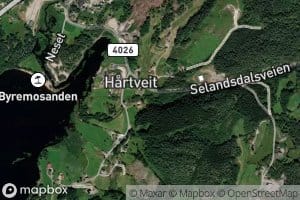 Hartveitsana