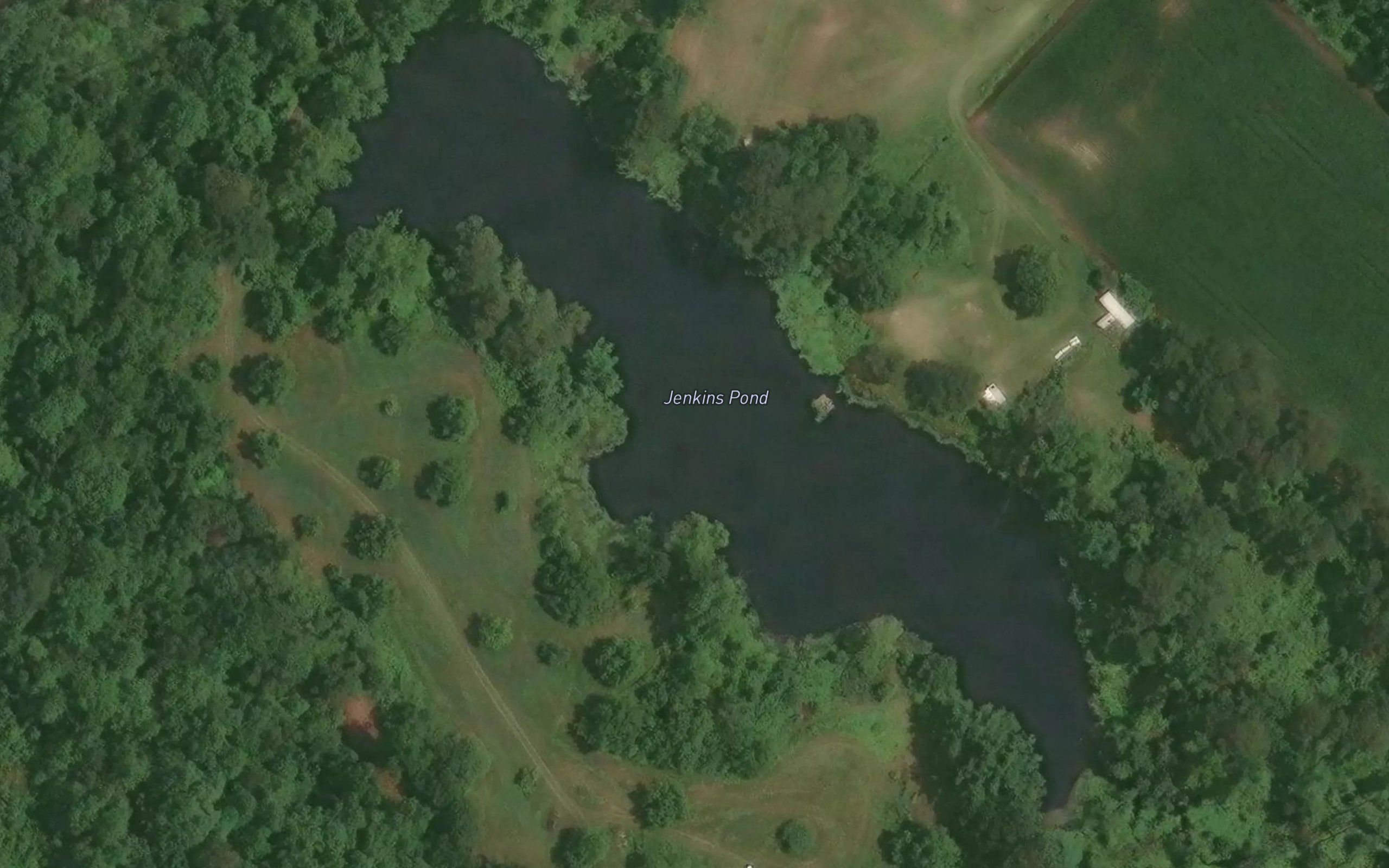 Jenkins Pond