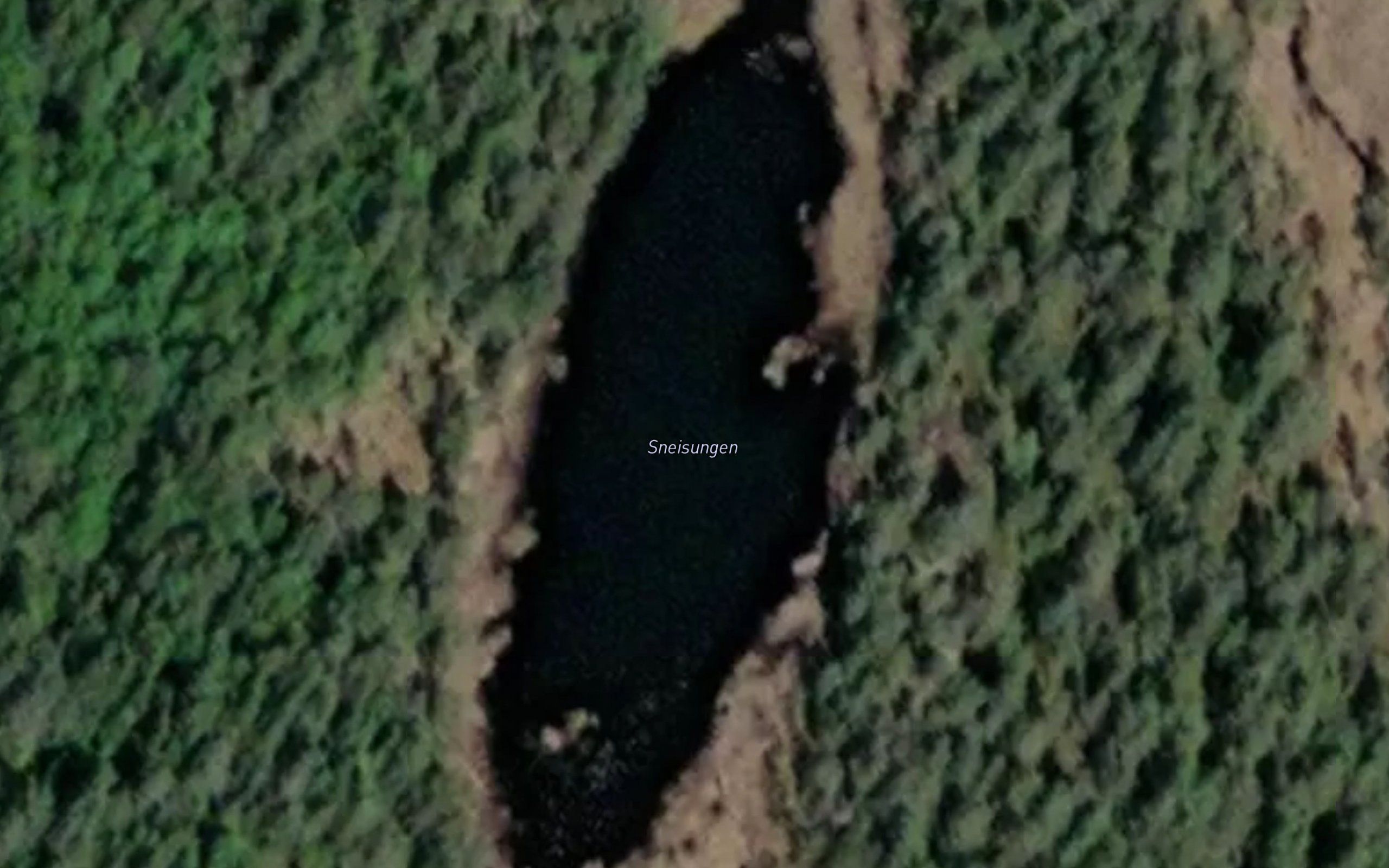 Sneisungen