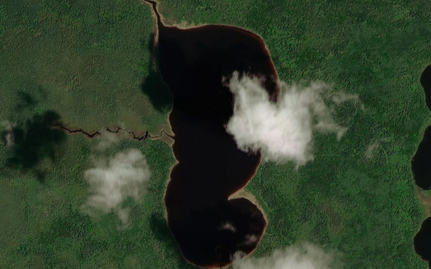 Satellite map of the Margaret Lake