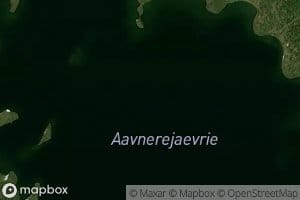 Aunerejaure