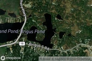 Brigus Pond
