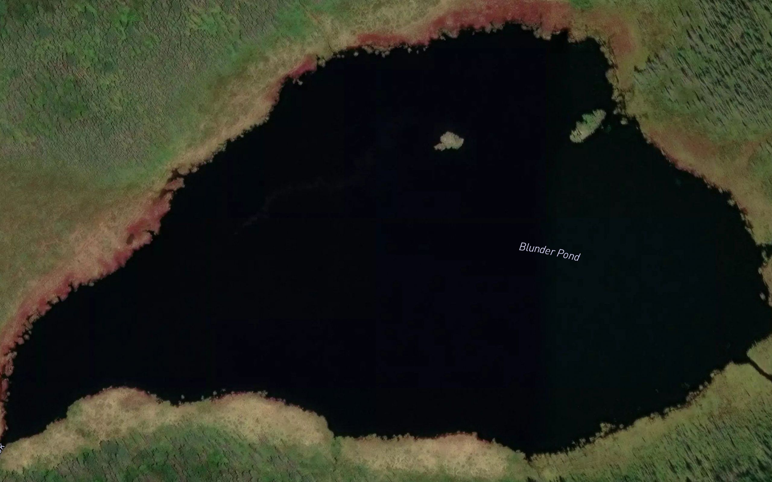 Blunder Pond