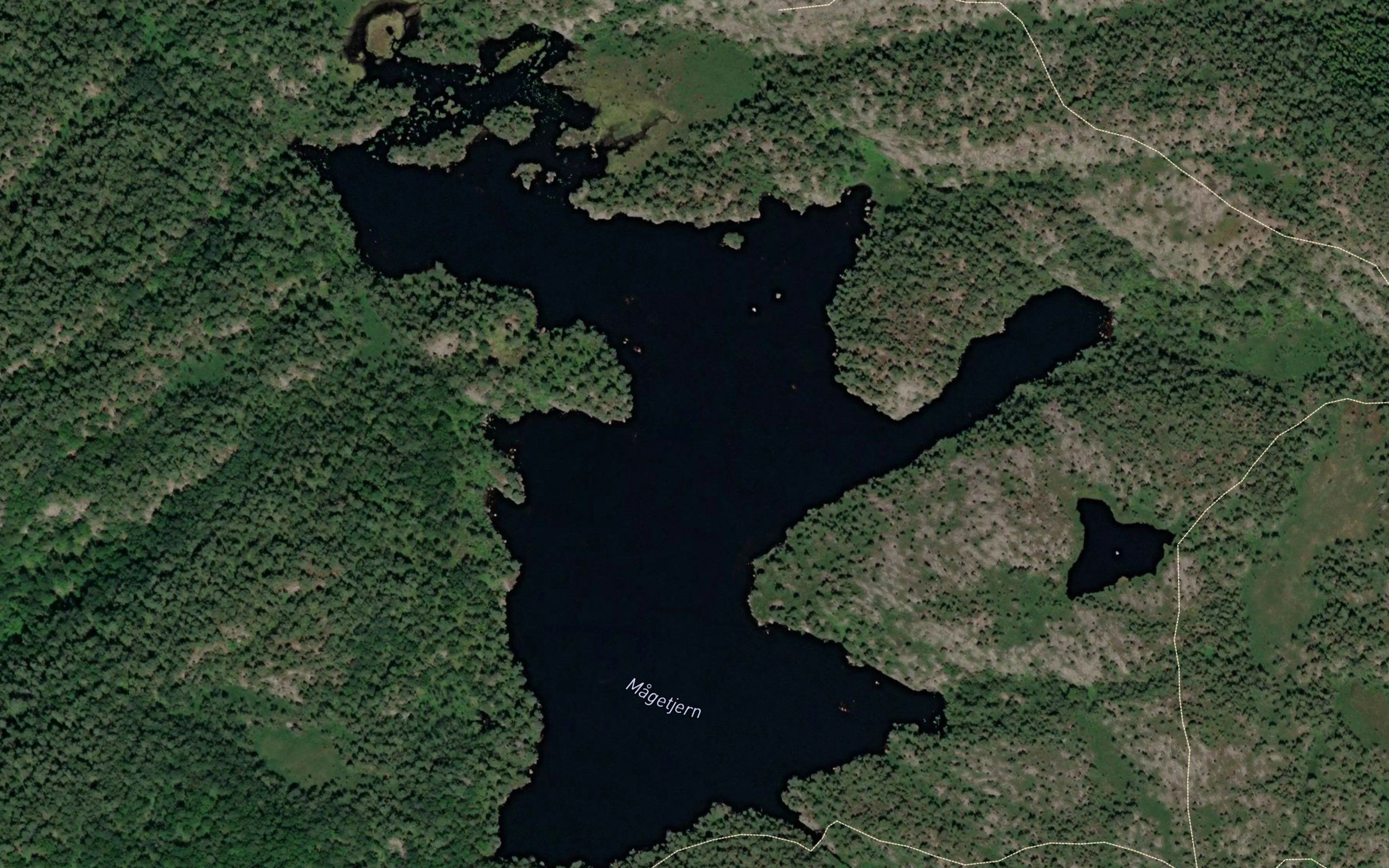 Magevannet