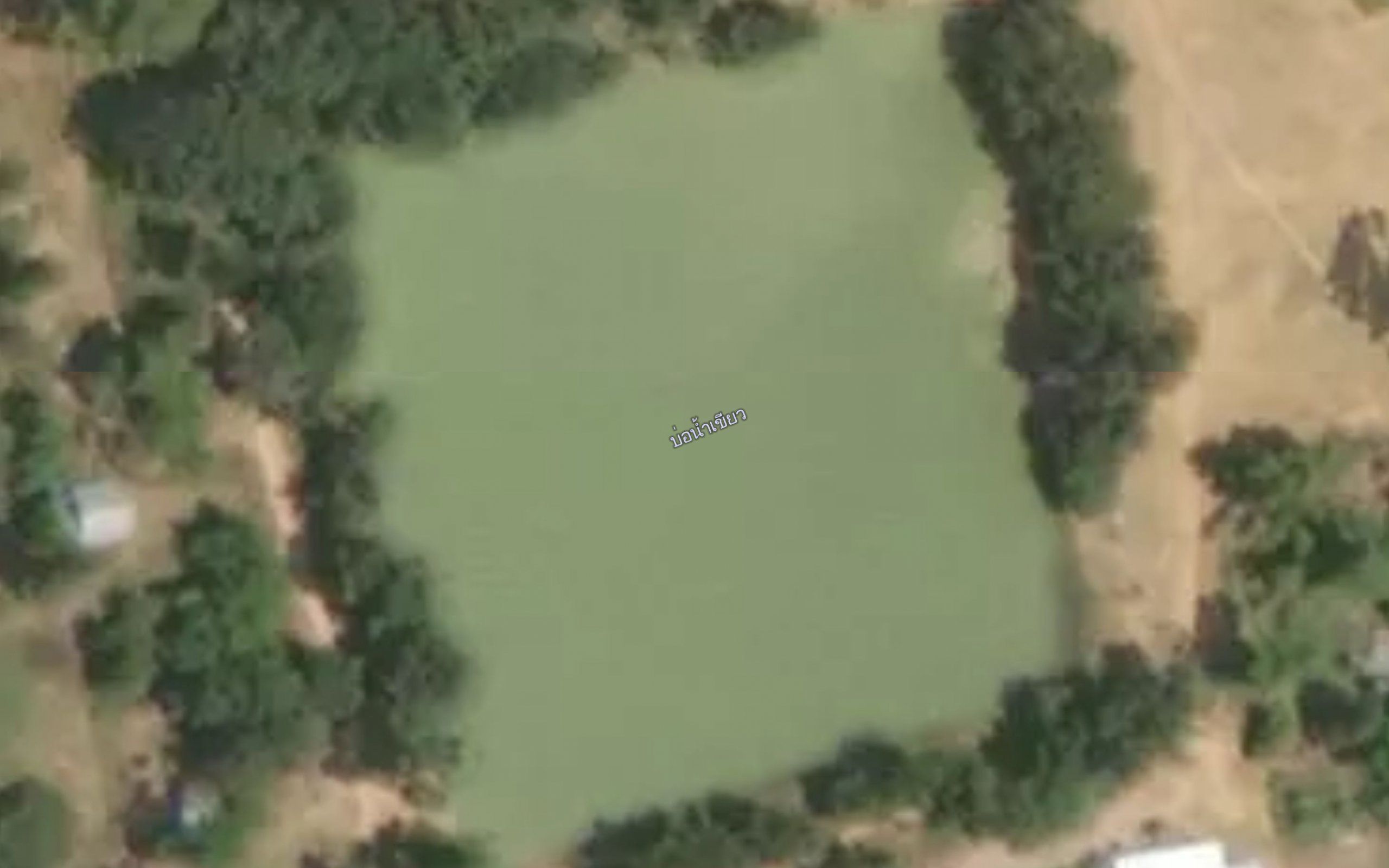 Nong Bu