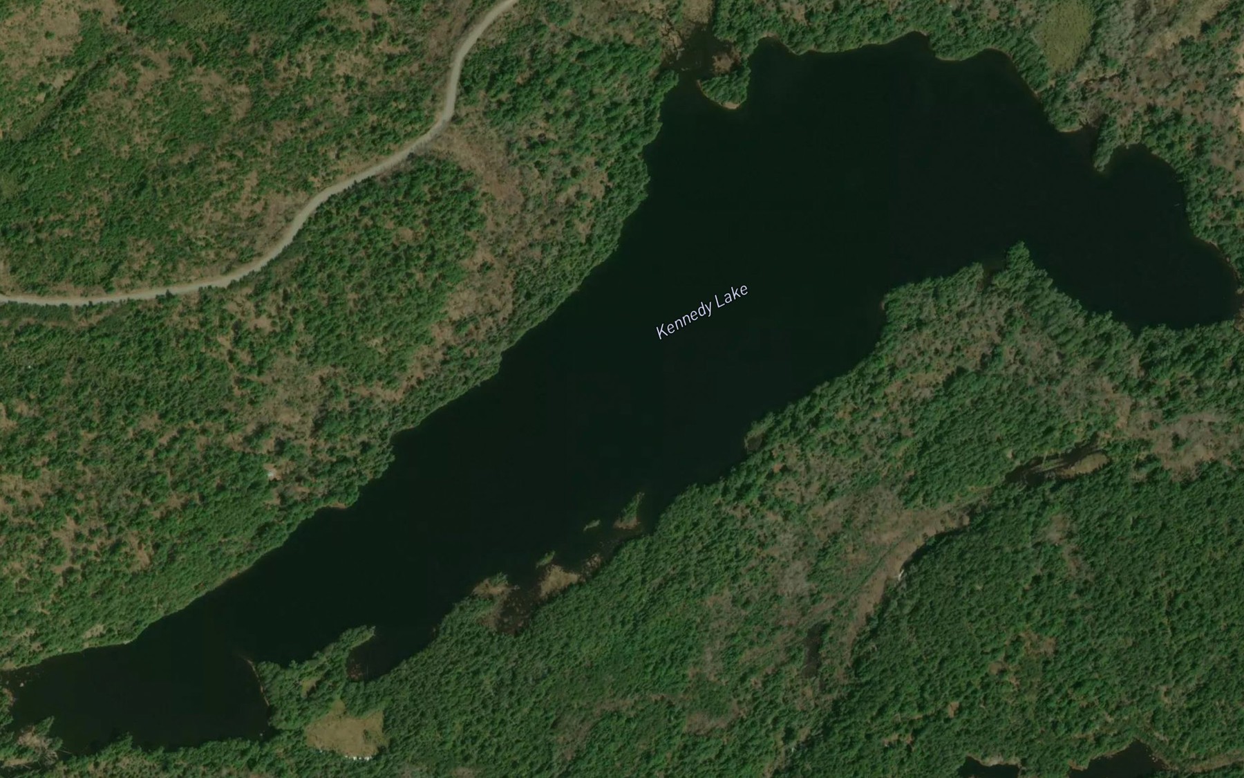 Satellite map of the Kennedy Lake