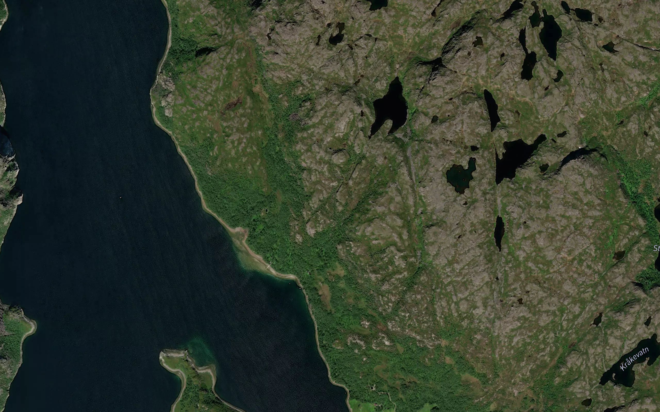Gusajakka