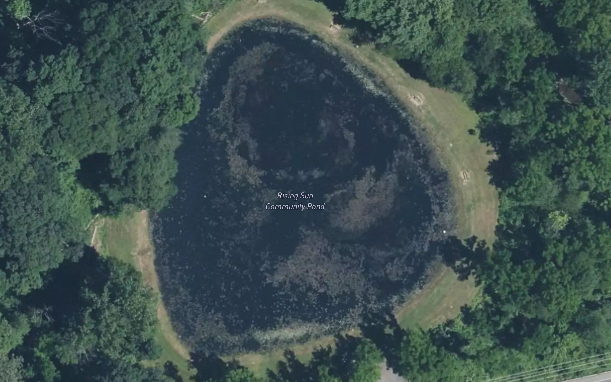 Rising Sun Community Pond