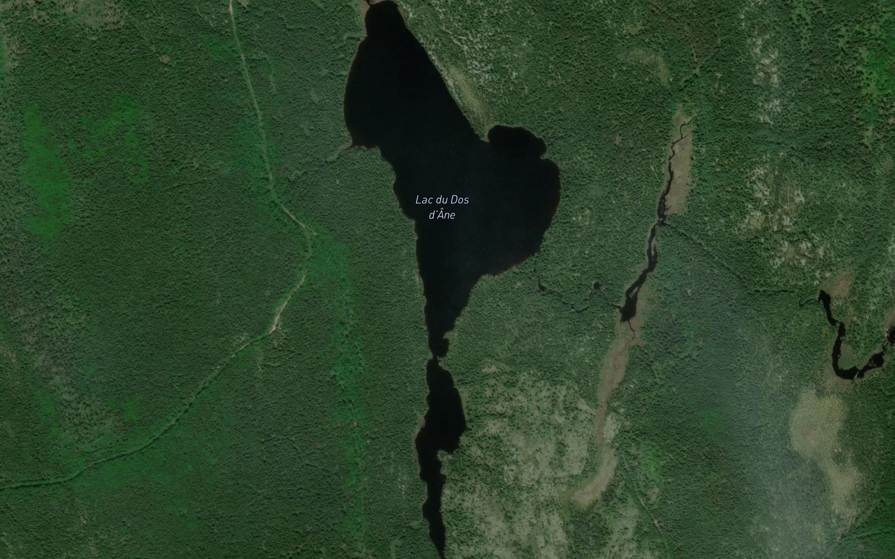 Satellite map of the Lac du Dos d'Ane