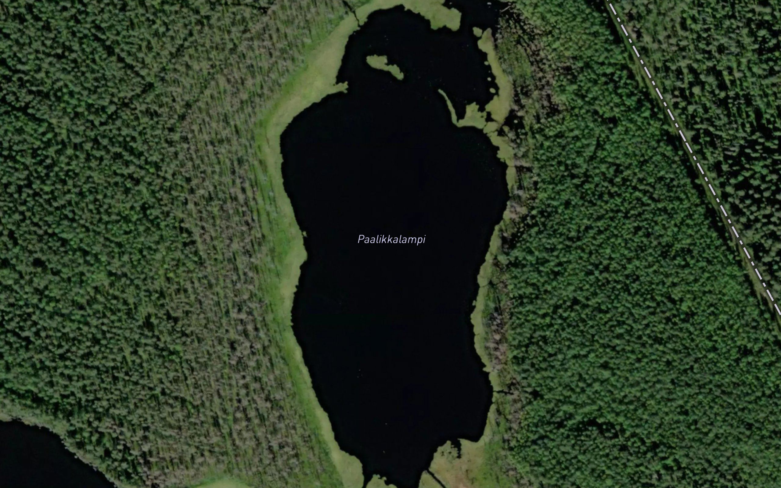Paalikkalampi