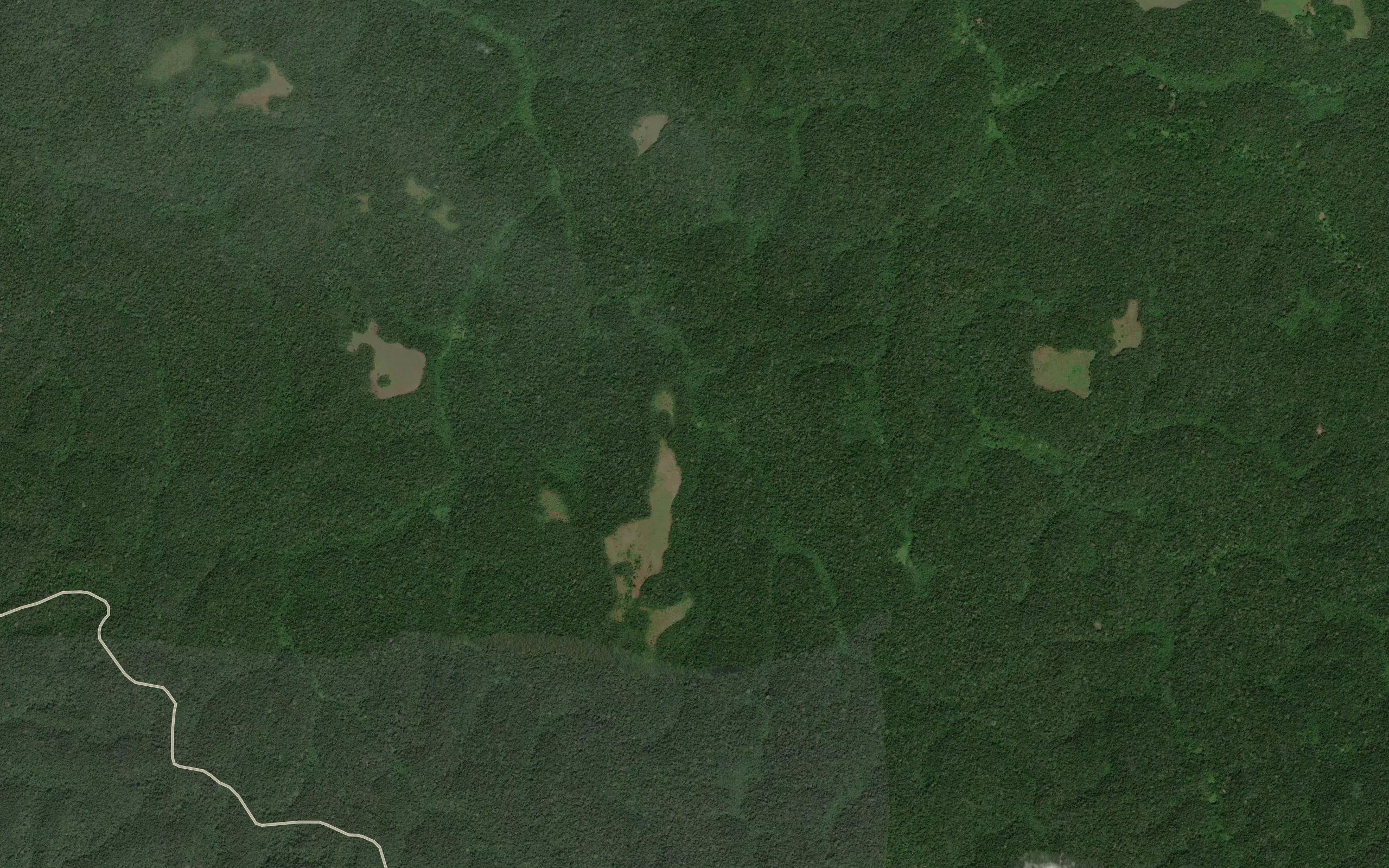 Lekang