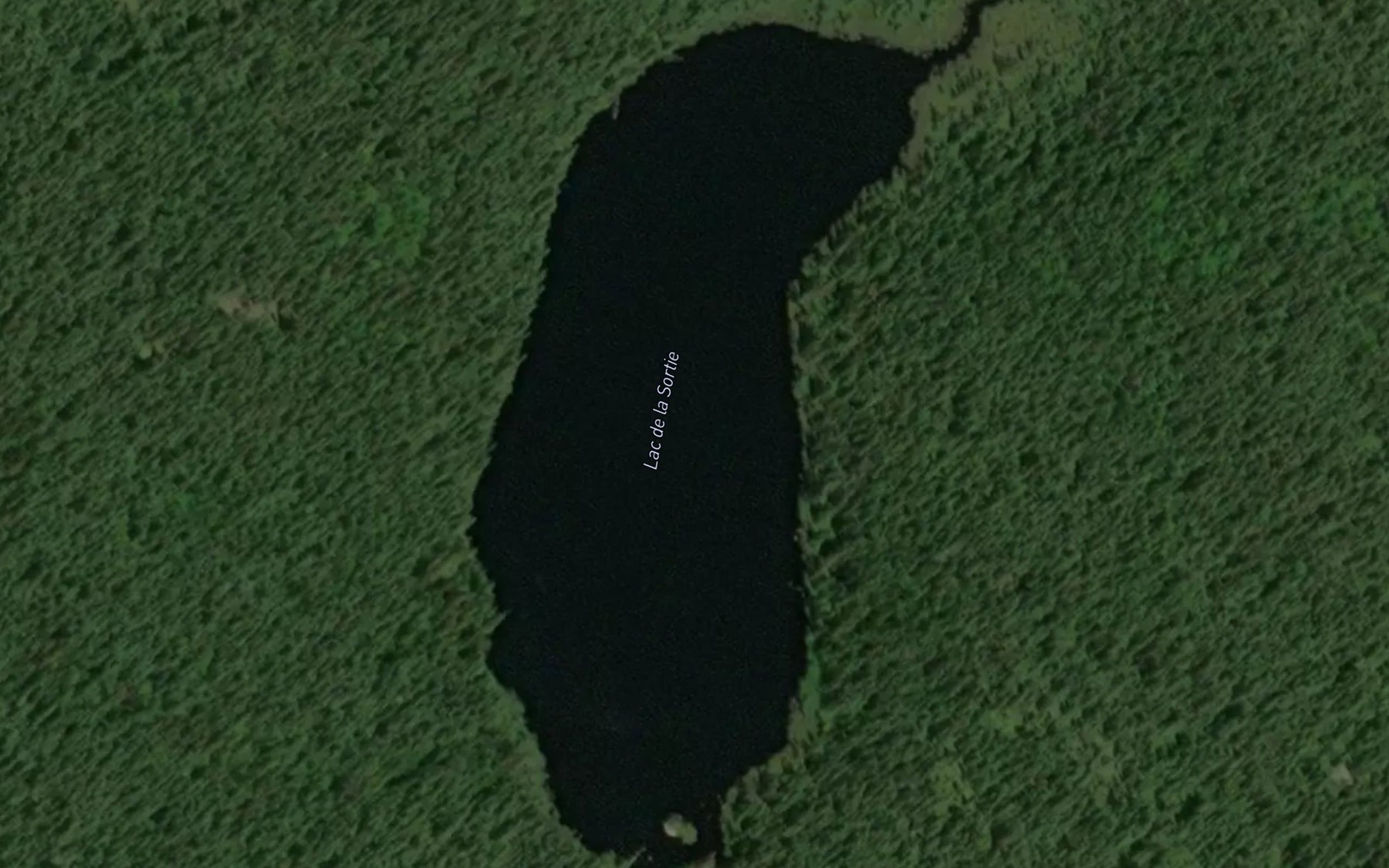 Satellite map of the Lac de la Sortie