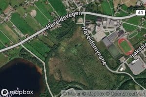 Lomstjorna