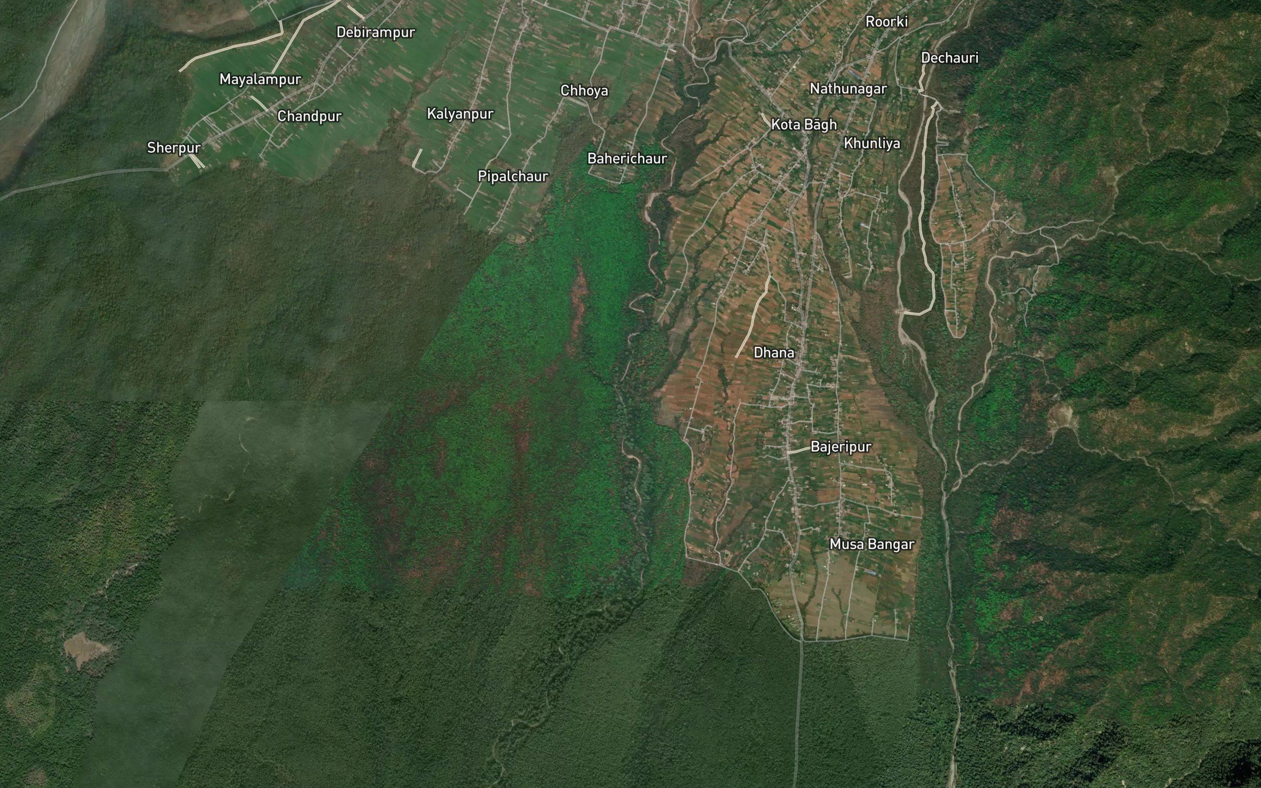 Larwa Gad