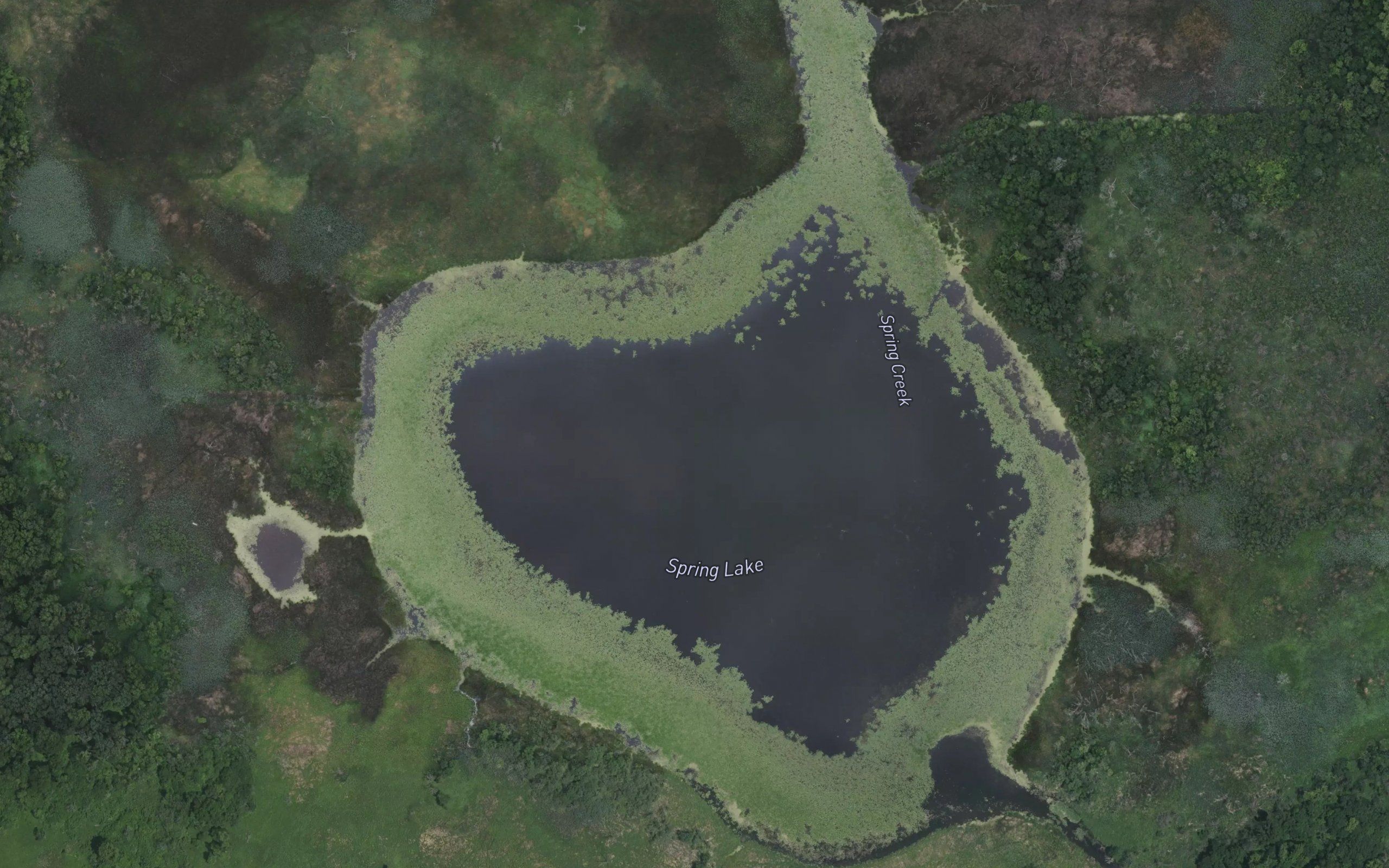 Spring Lake