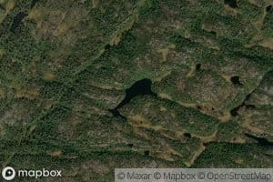 Store Brokkelinetjonn