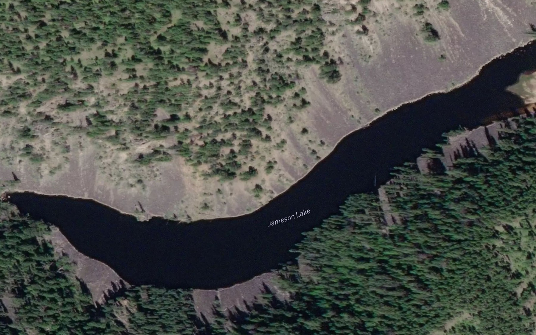 Satellite map of the Jameson Lake
