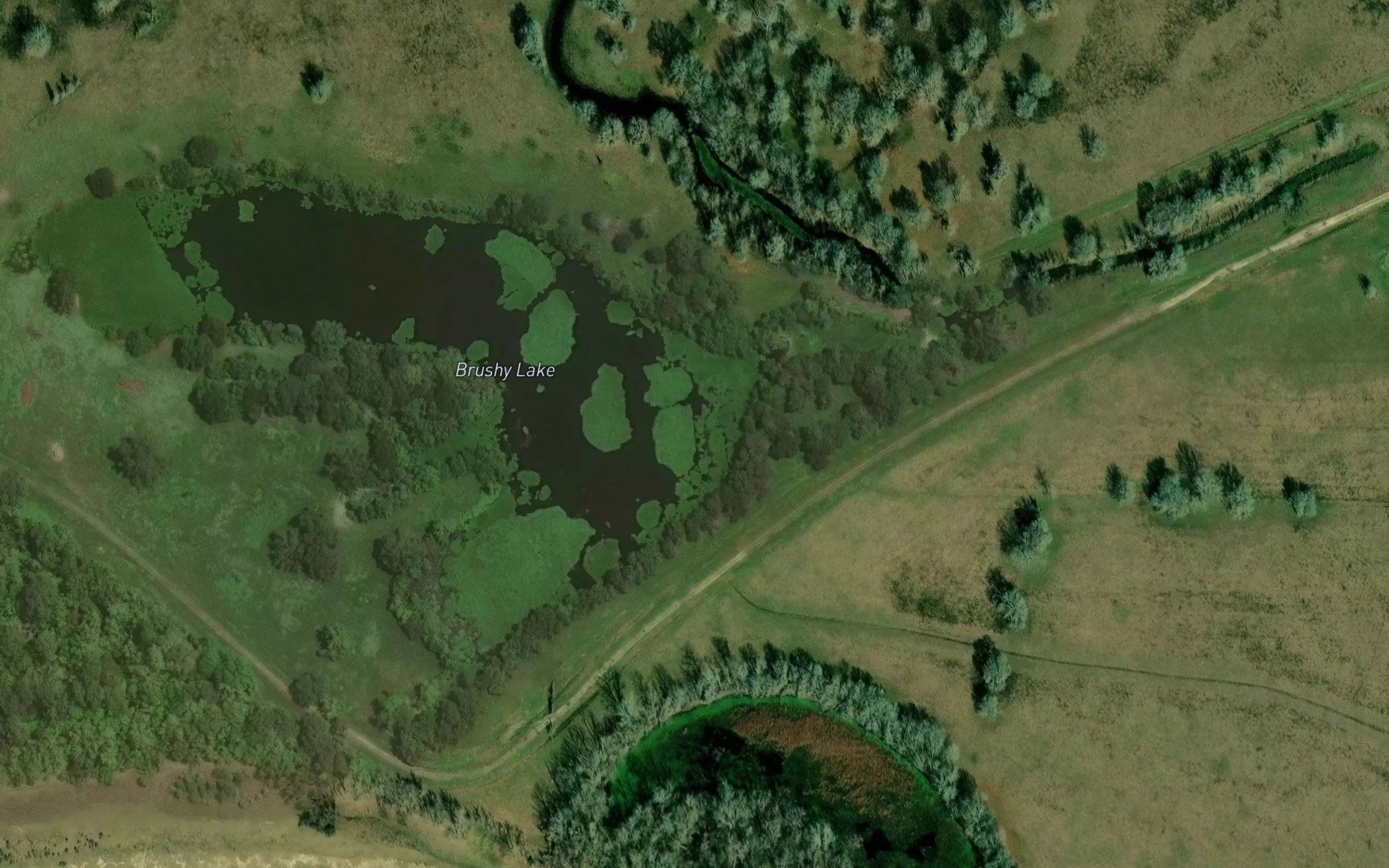 Brushy Lake