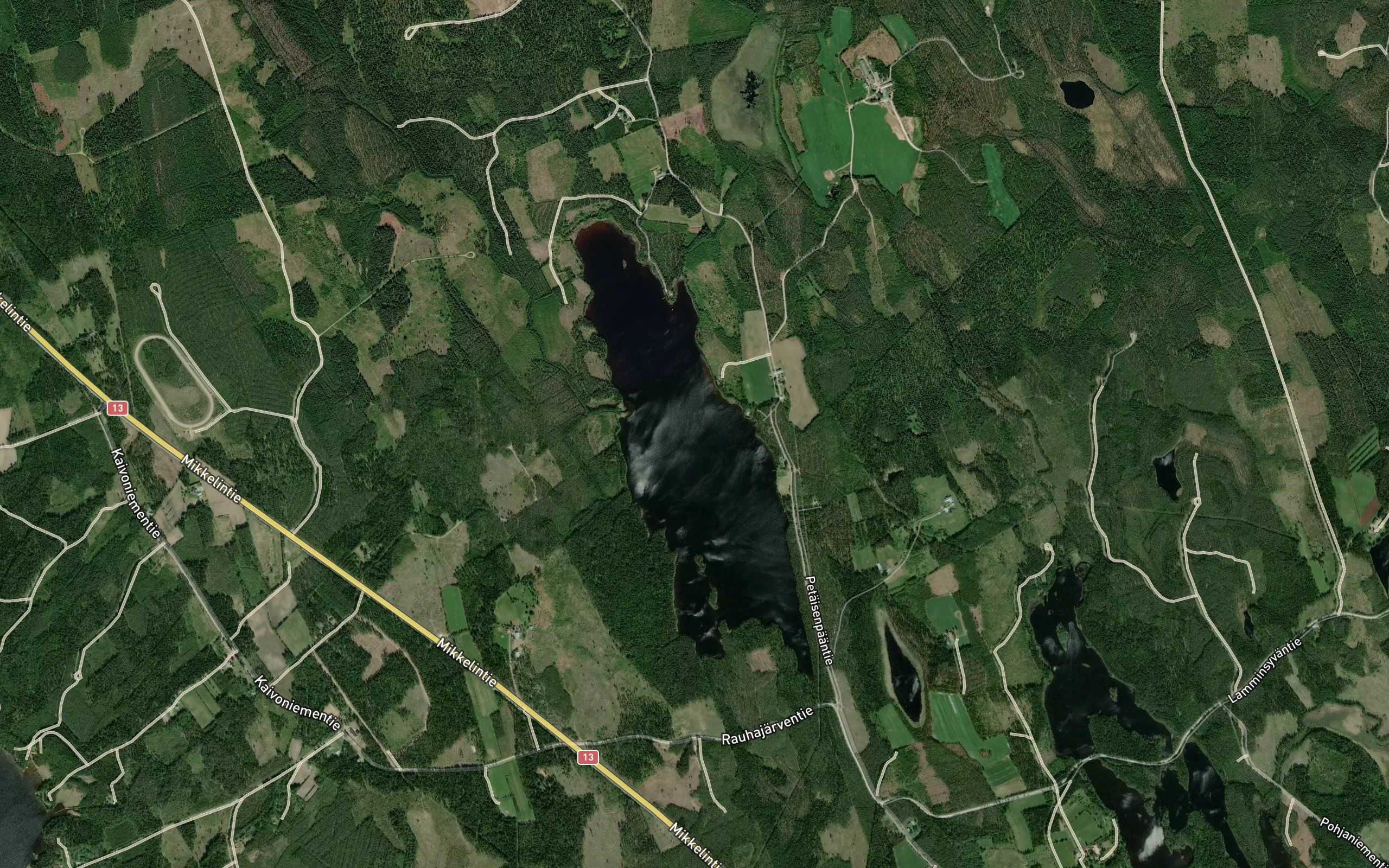 Petainen