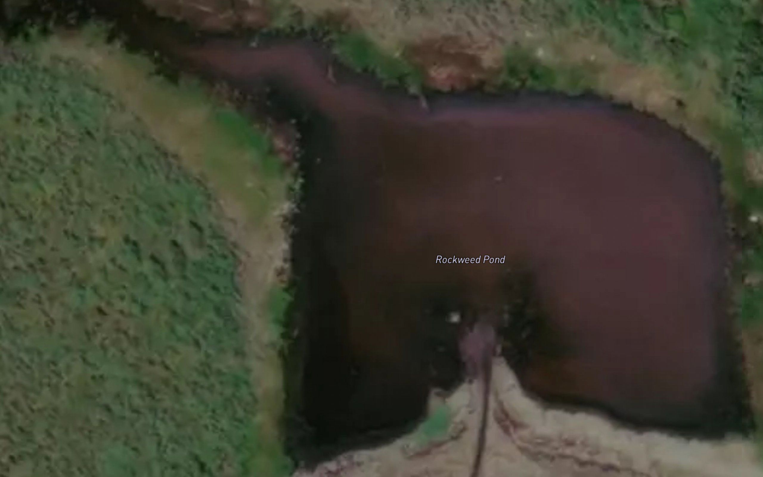 Rockweed Pond