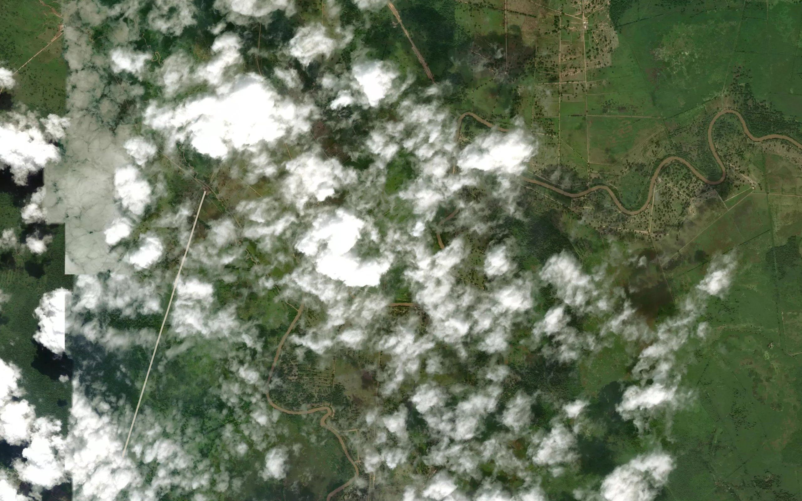 Rio Negro