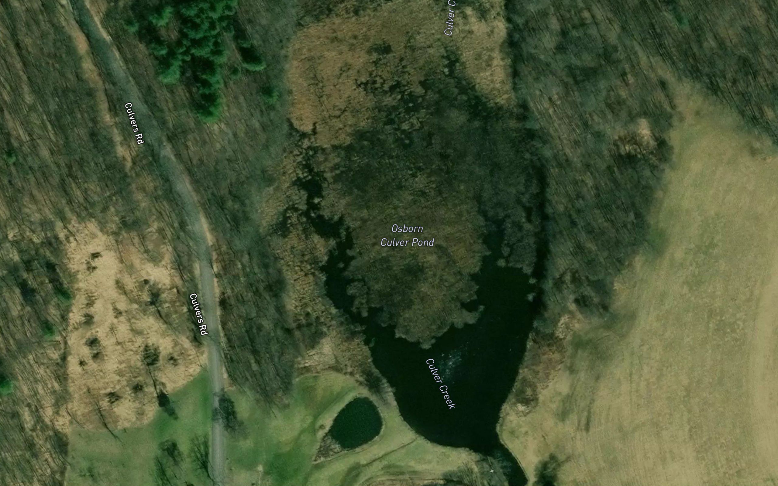 Osborn Culver Pond