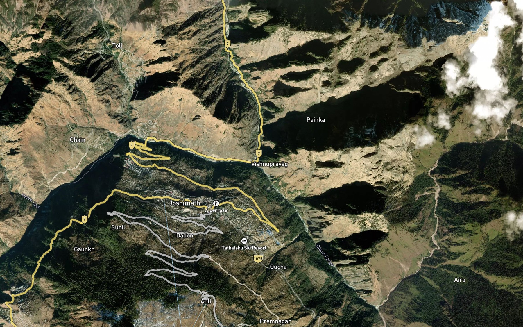 Satellite map of the Alaknanda River