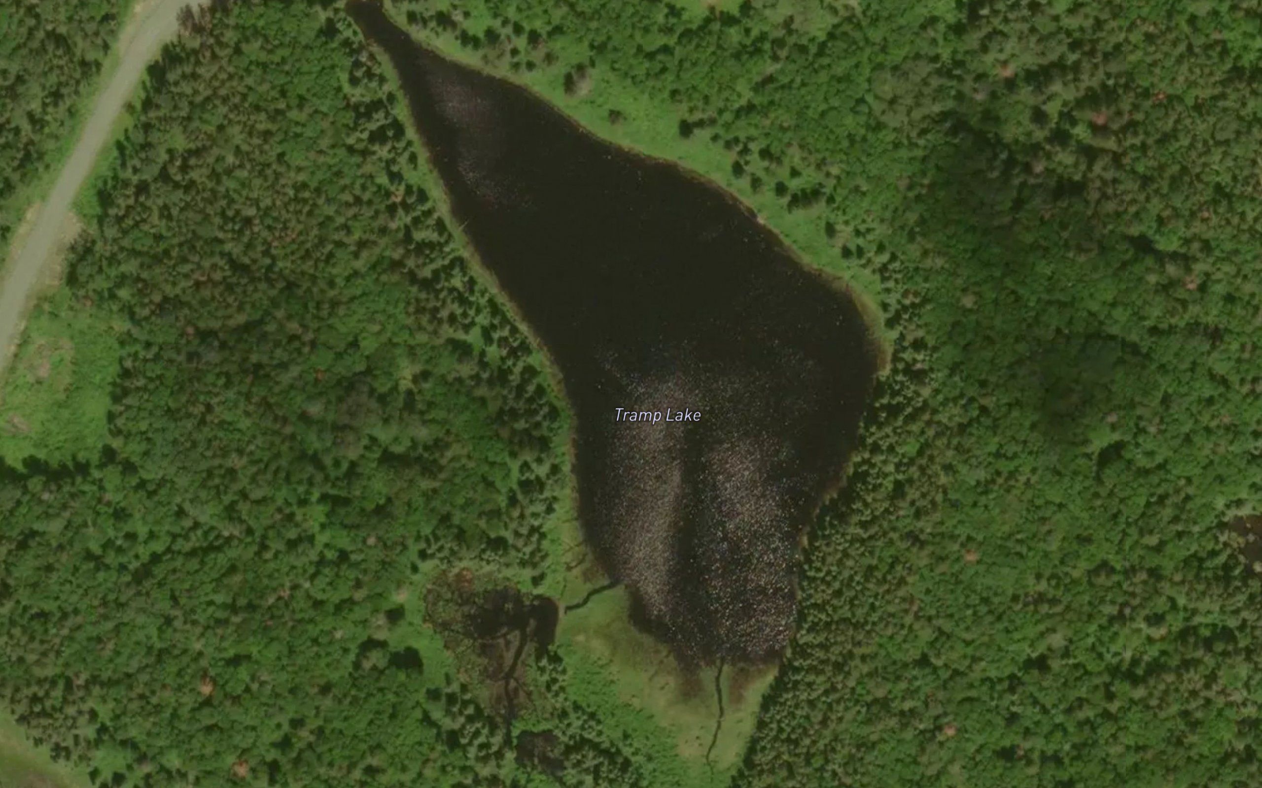 Tramp Lake