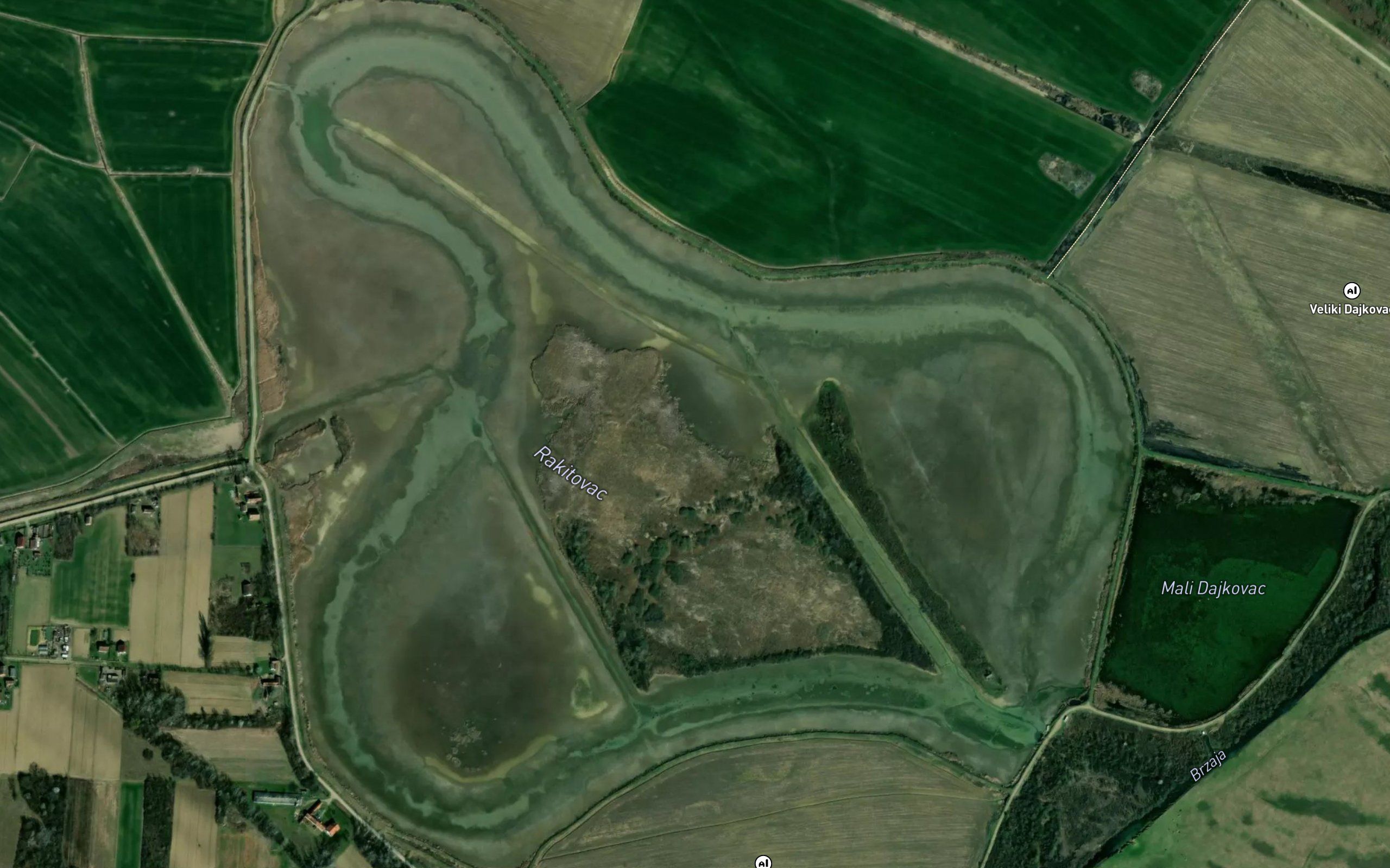 Rakitovac