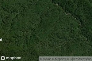 Te Whakapaeatetari Stream