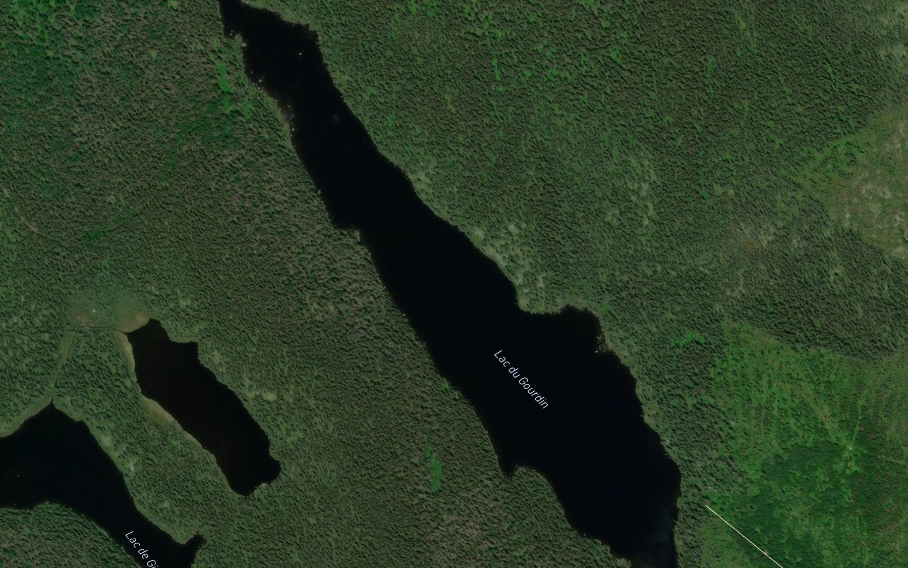 Satellite map of the Lac du Gourdin