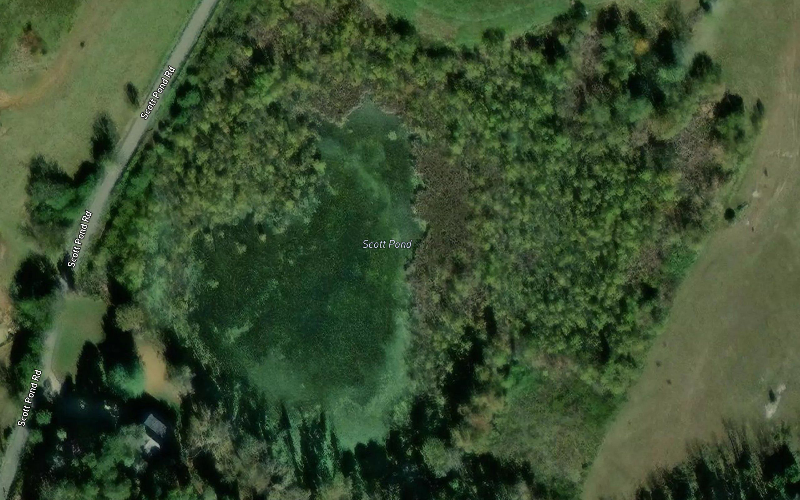 Scott Pond