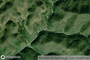 Left Fork Trace Fork