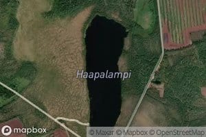 Haapalampi