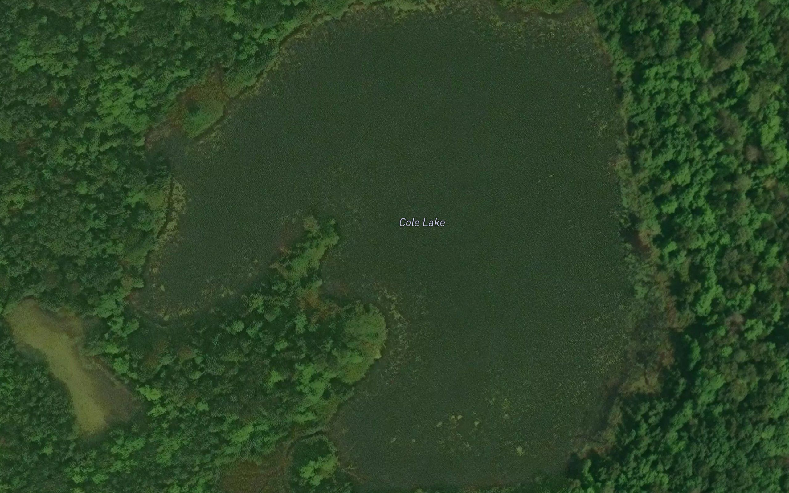 Cole Lake