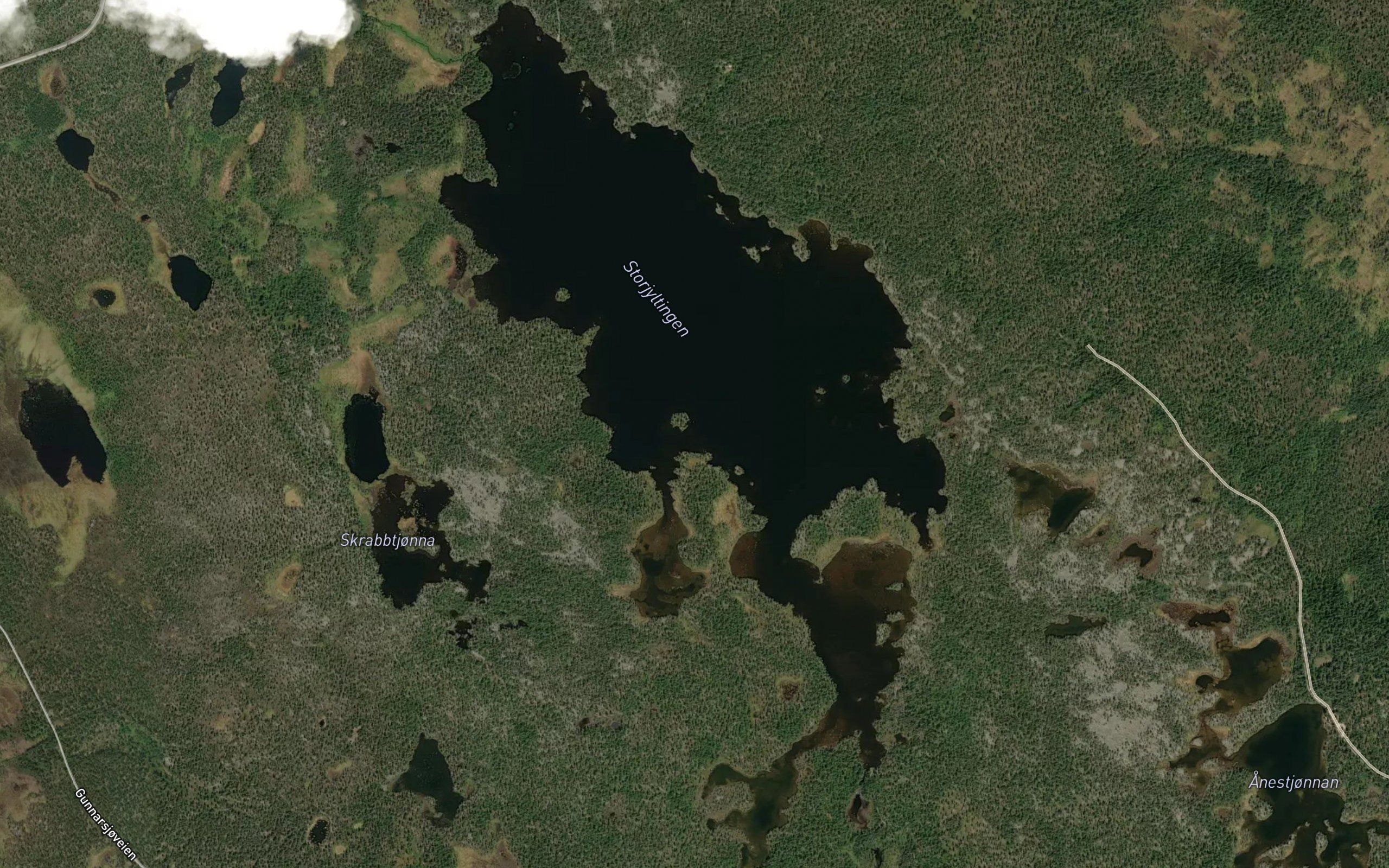 Storjyltingen