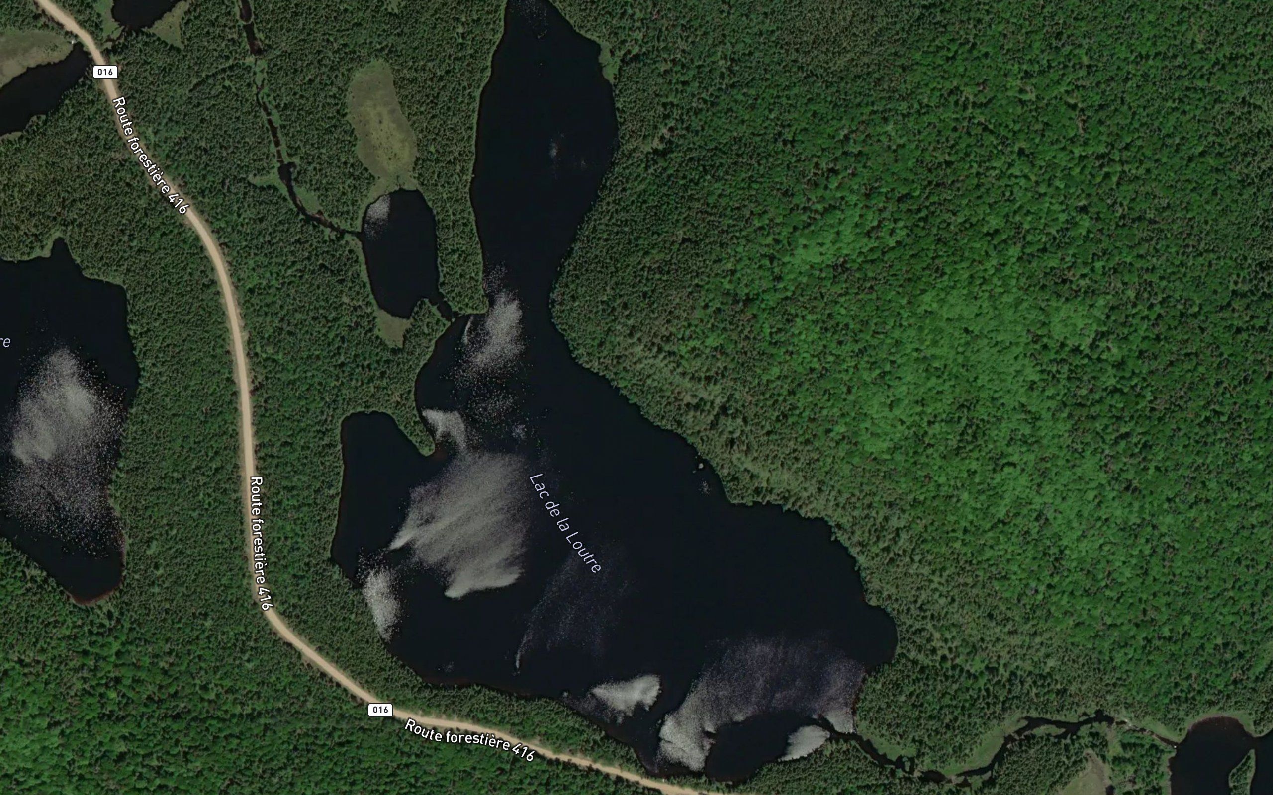 Lac de la Loutre