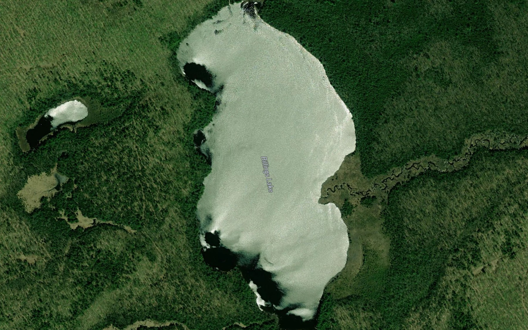 Satellite map of the Billings Lake