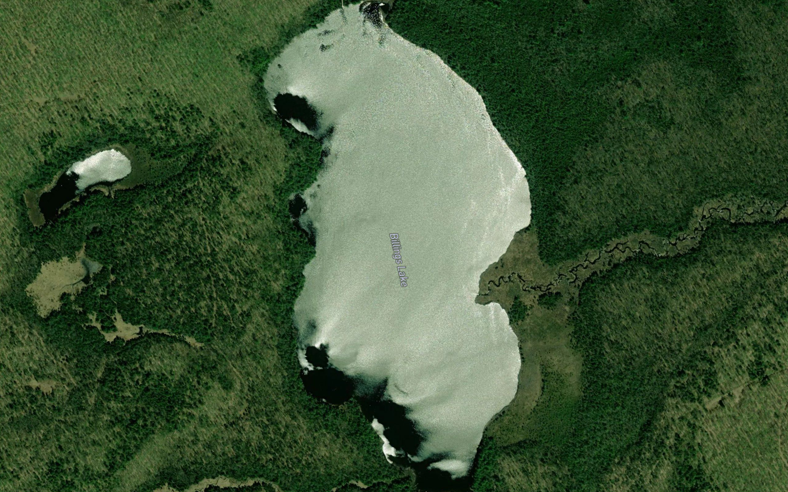Billings Lake