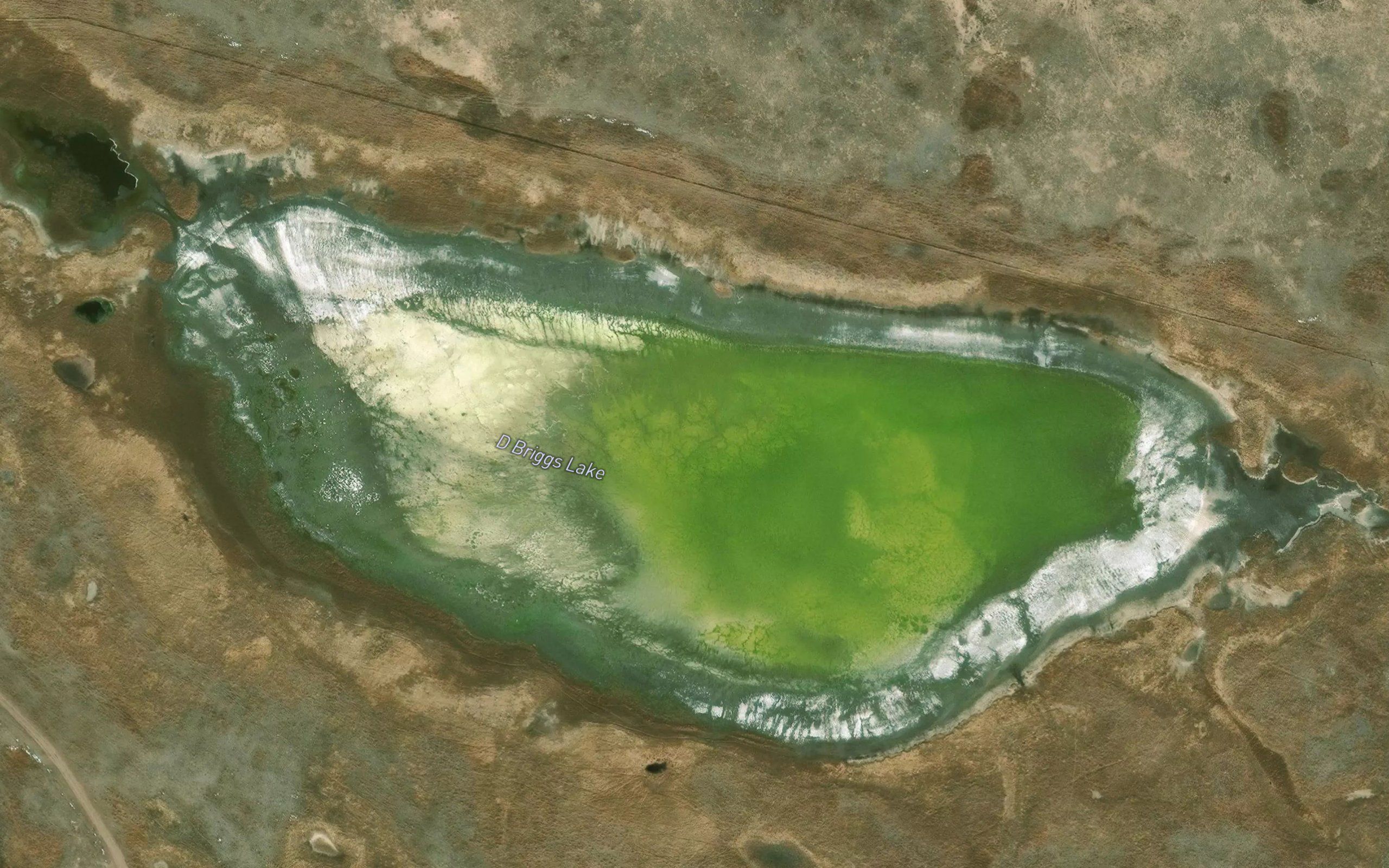 D Briggs Lake