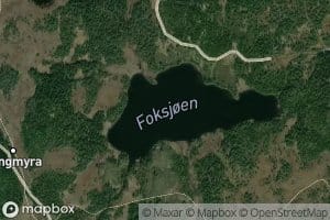 Foksjoen