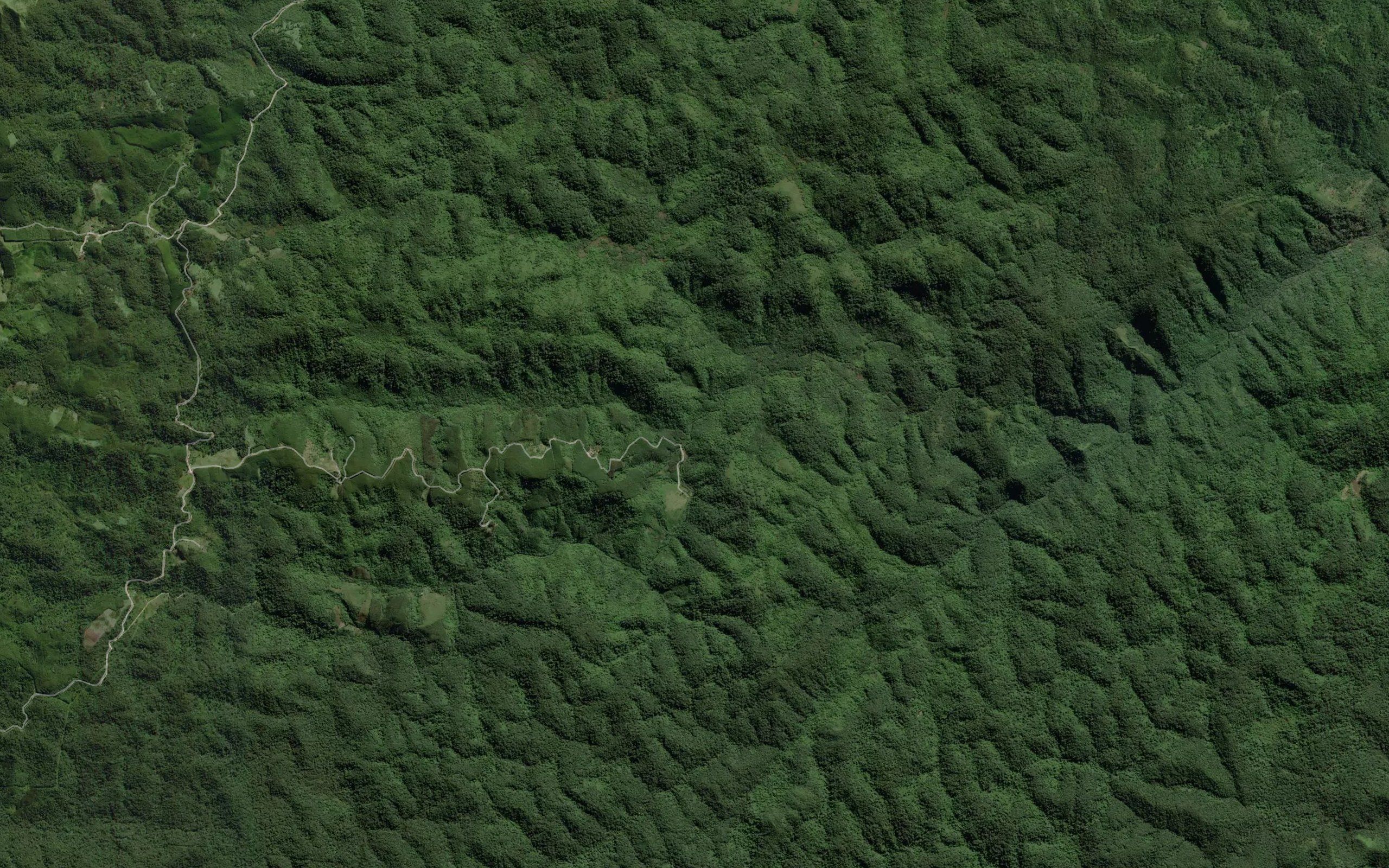 Rio da Paca