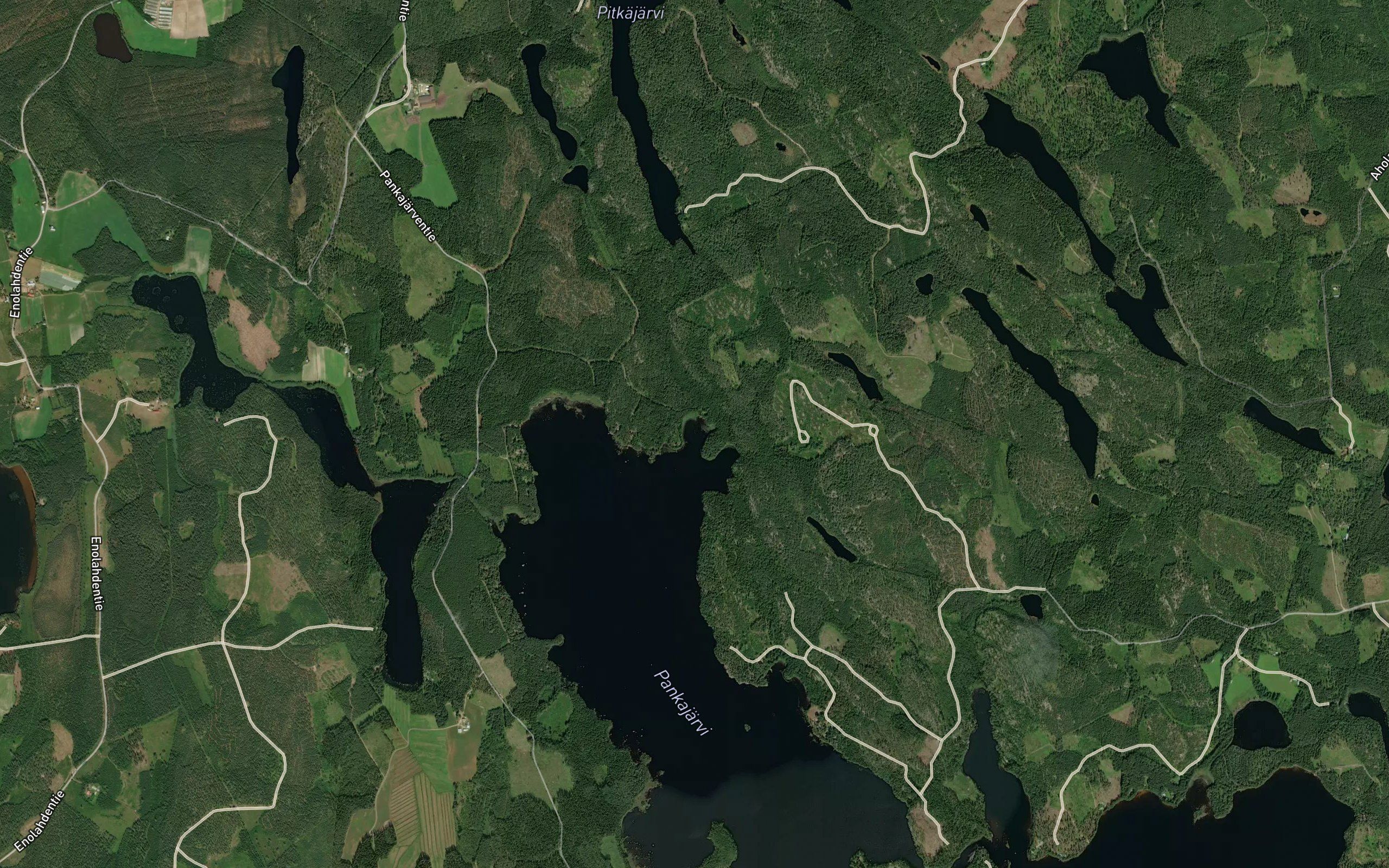 Pitkankoskenlahti
