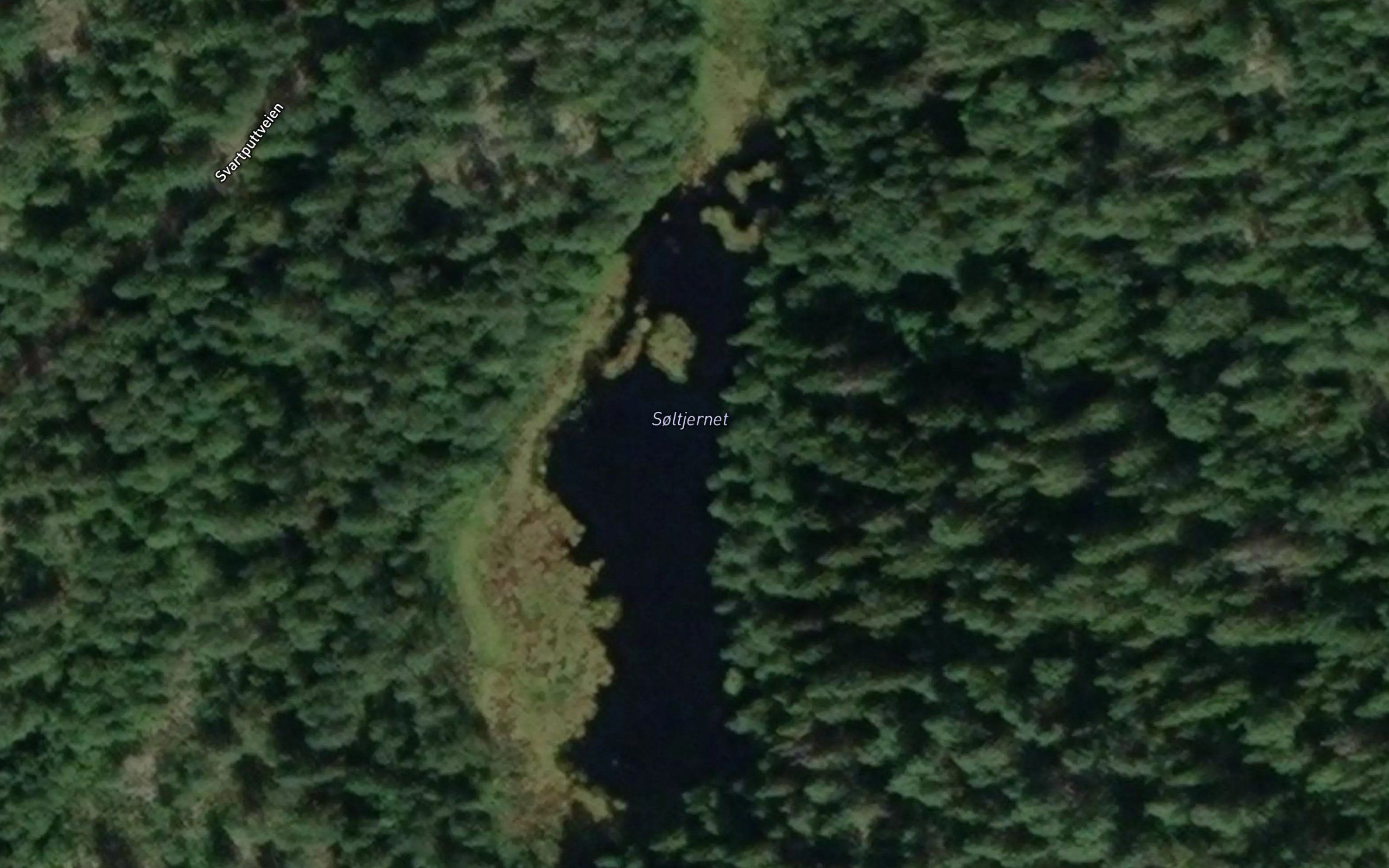 Soltjernet