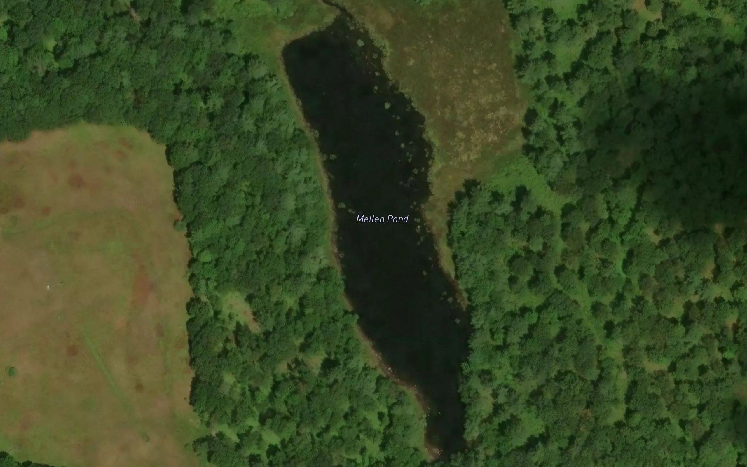 Mellen Pond