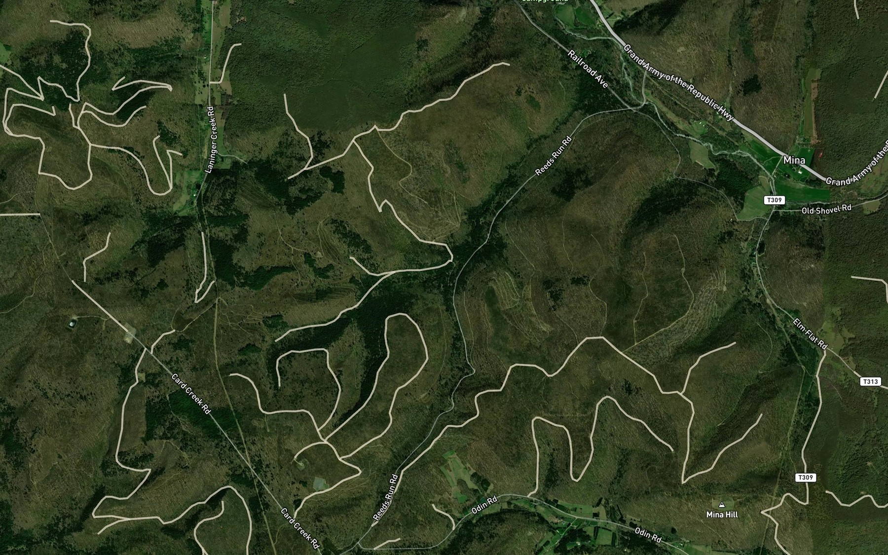 Satellite map of the Right Fork Reed Run