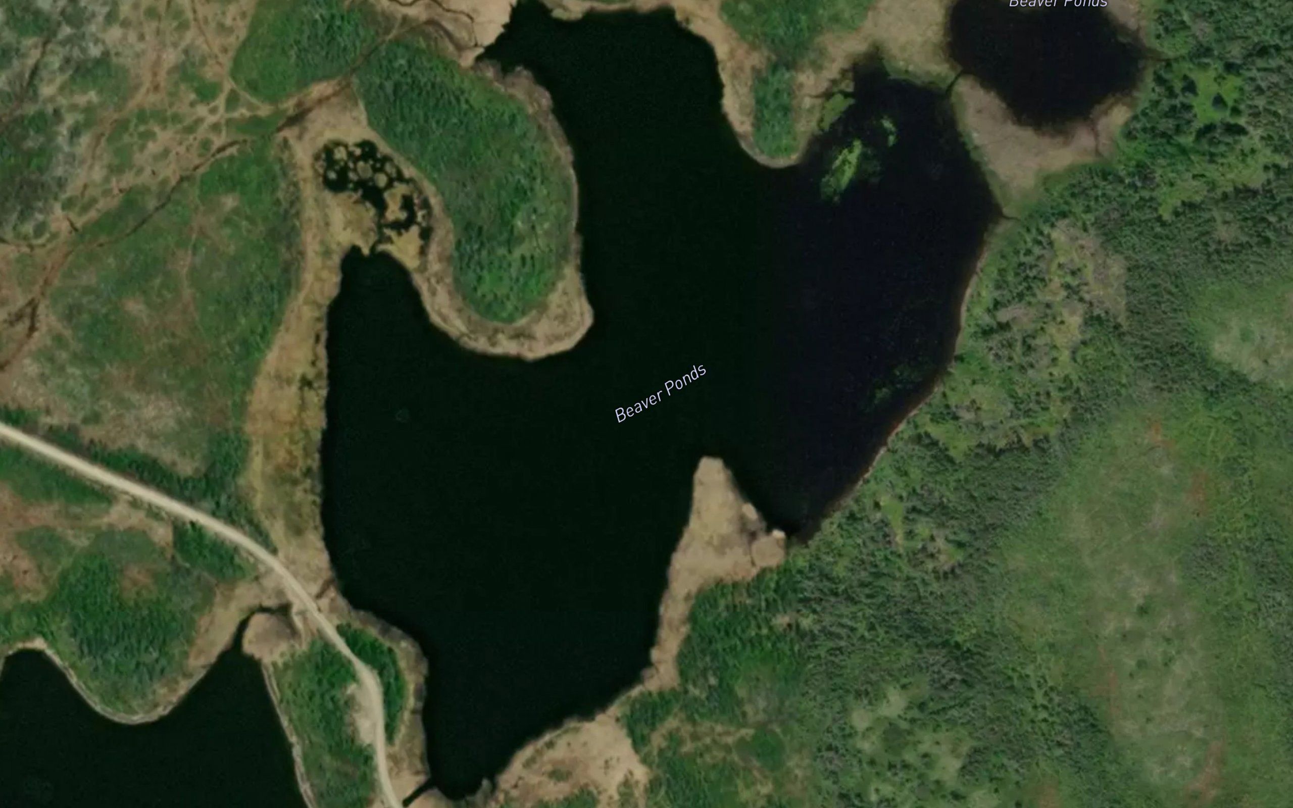 Beaver Ponds