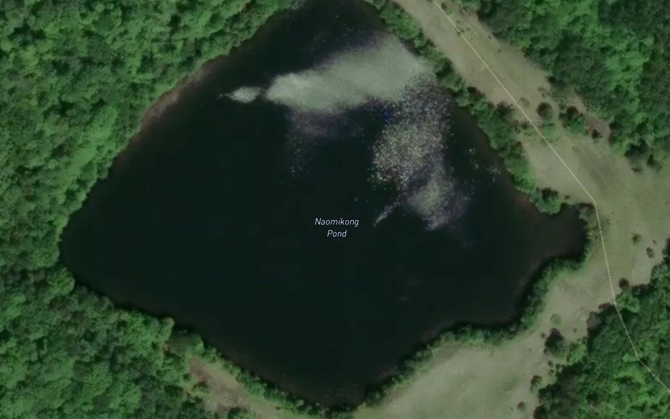 Naomikong Pond
