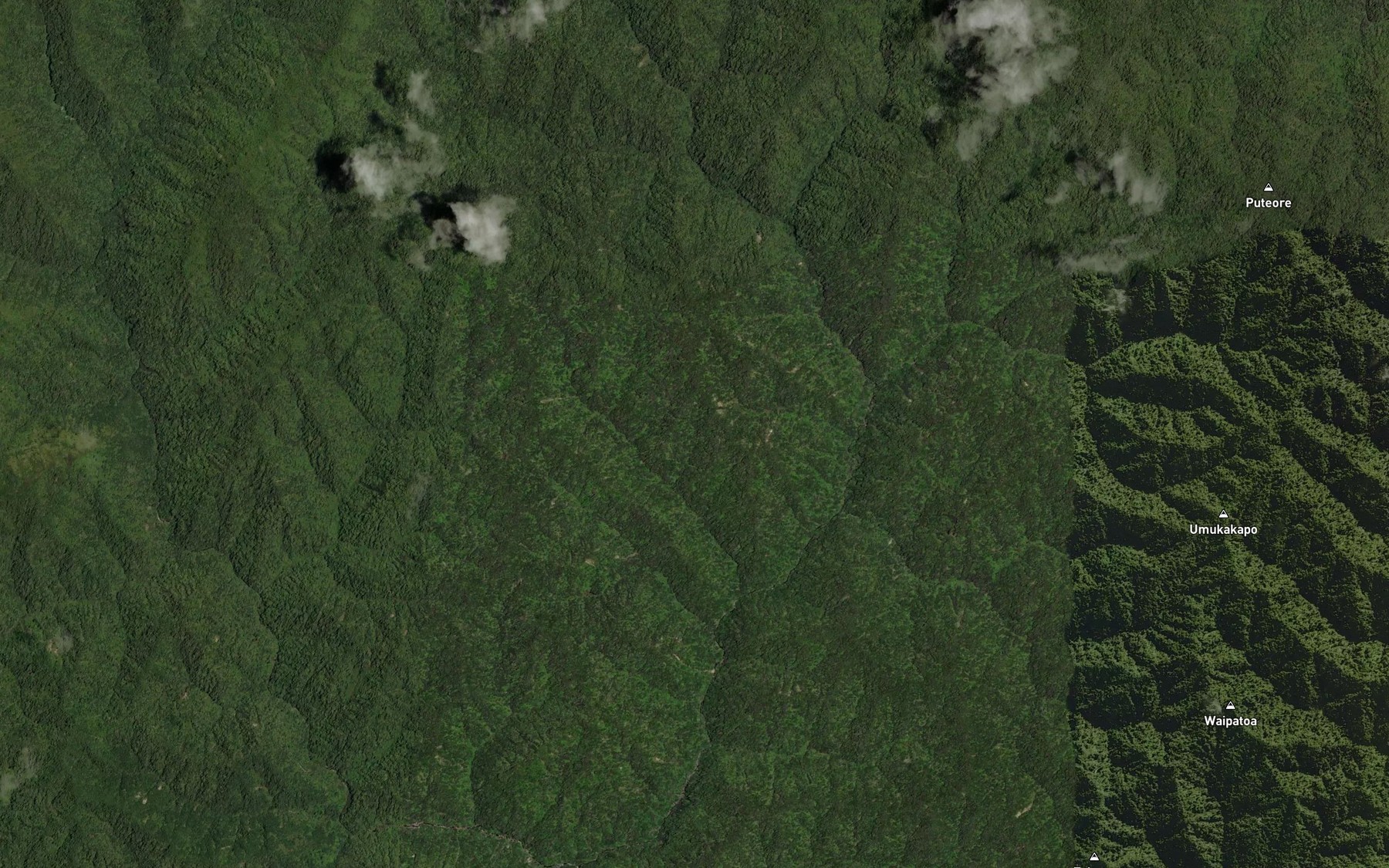 Satellite map of the Waitotara River